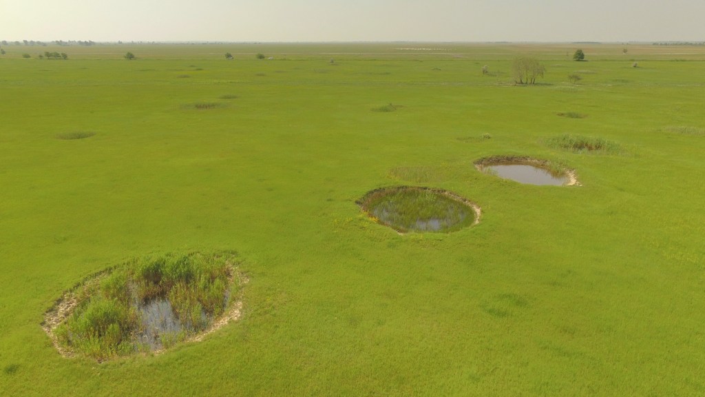 This image has an empty alt attribute; its file name is cdji_0087.jpg